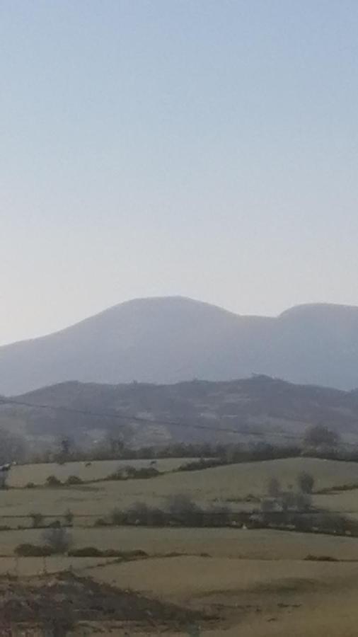 Mountainview Bed and Breakfast Ballyward Buitenkant foto
